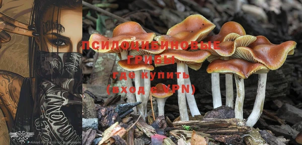 марки lsd Гусев