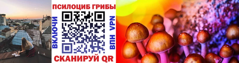 Галлюциногенные грибы Psilocybe  Олёкминск 